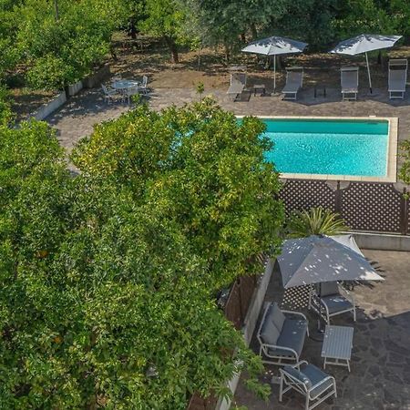 Casa Gege', For Up To 5 Guests, Shared Pool, Sorrento Center Exterior foto